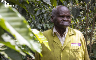Keňa: O kávě a avokádu